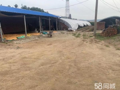 新抚出租养殖场地。设备齐全图1