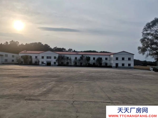 东洲东洲商场(绥化路)出租