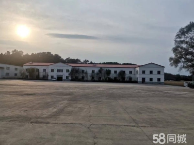 东洲东洲商场(绥化路)出租图1