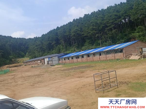 东洲动力电200千瓦，可合作