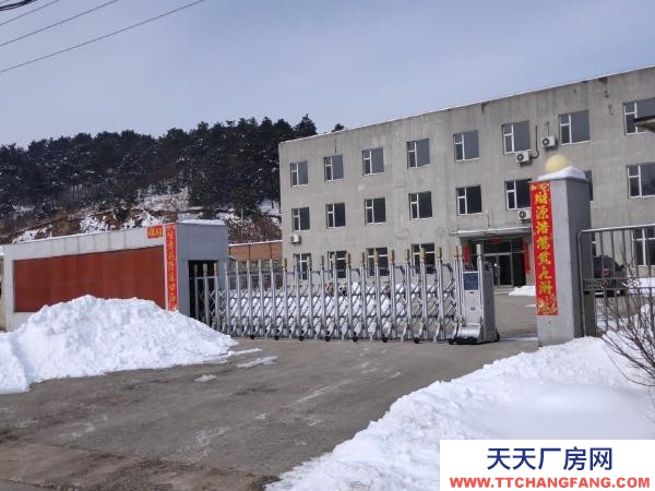 东洲兰山工业土地及厂房出售