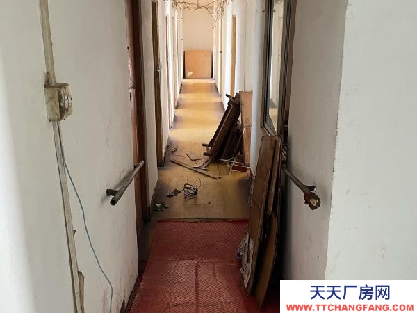 东洲房屋地理位置优越，可整租，也可分租