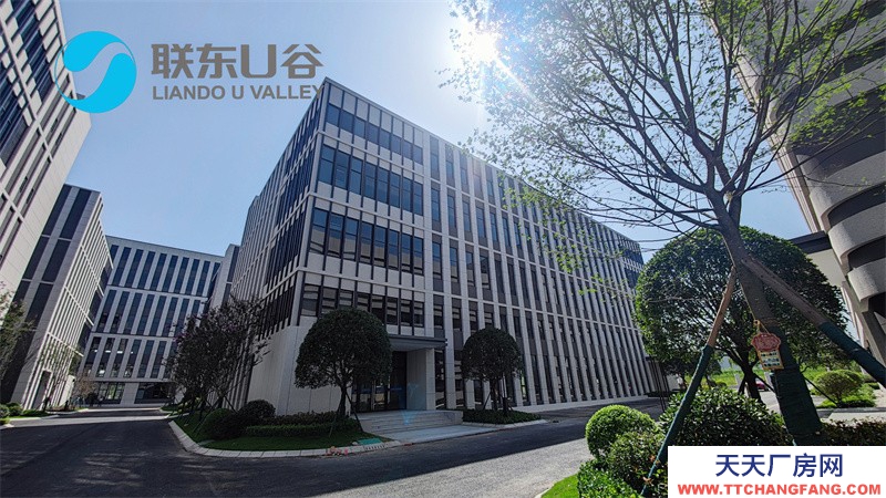 天府新区直管新兴产业园钢构厂房出租
