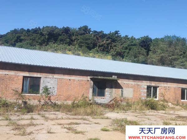 顺城区望月路大型厂房低价出租