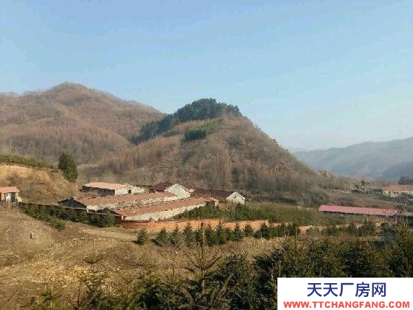 新宾木奇镇北沟村养猪场低价出租