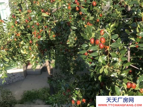 站前低价出租办公室 仓库