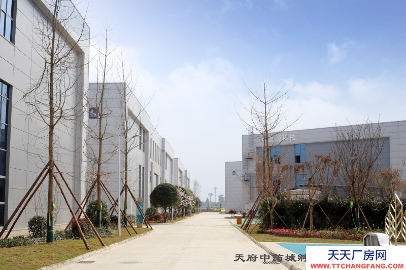 彭州天府中药城孵化园厂房出租