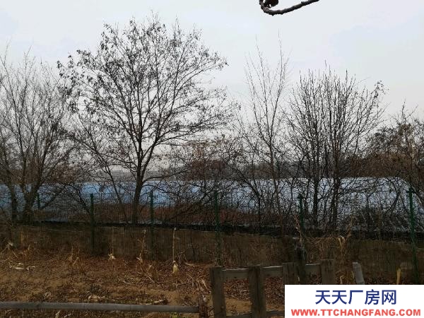 鲅鱼圈可做仓库可改大棚随意改动价格便宜