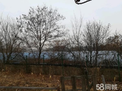 鲅鱼圈可做仓库可改大棚随意改动价格便宜
