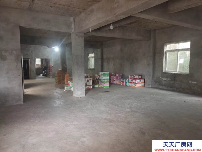 龙马潭石洞街道花博园厂房仓库出租