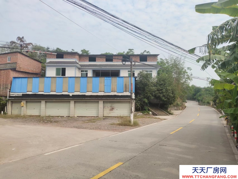 龙马潭石洞街道花博园厂房仓库出租