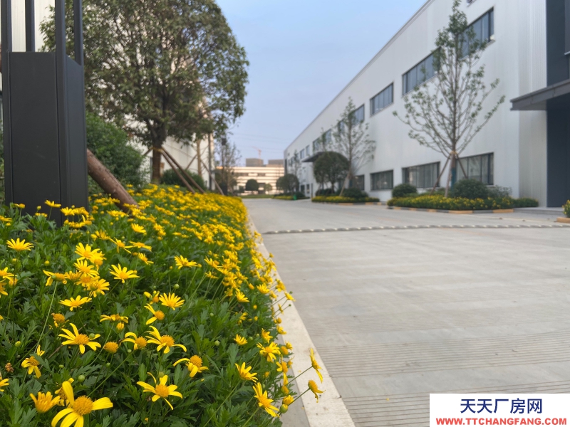 城北单层钢结构现房出租，高速路口，花园厂房！