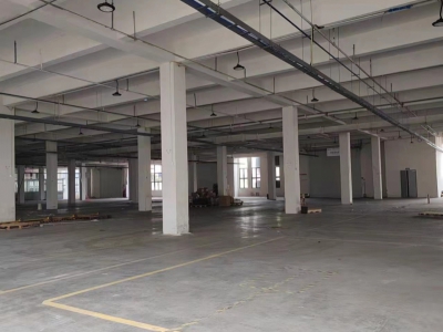 标准厂房I可分租I项目可免租图3