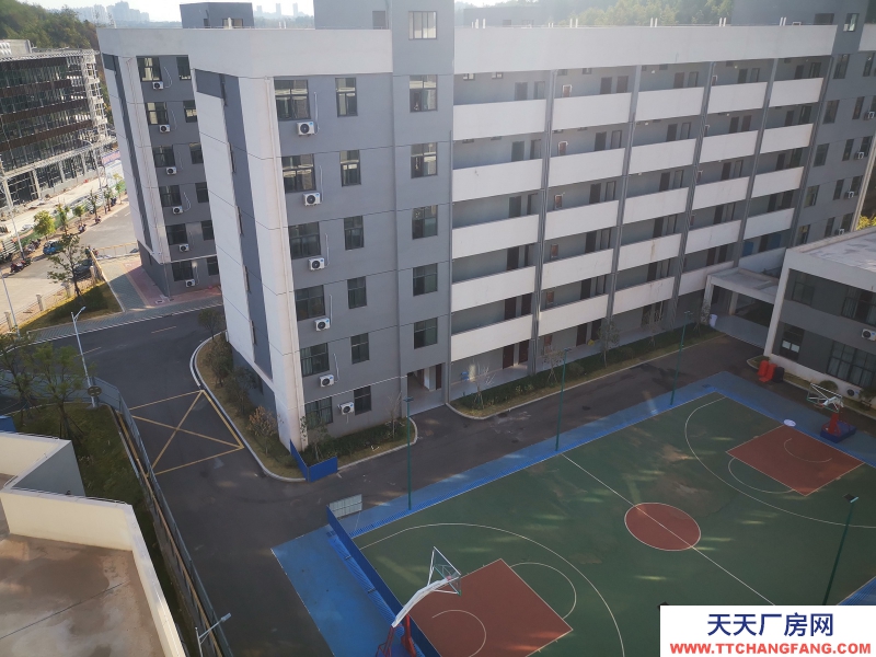 江西赣州厂房招商科技型企业免费入驻配套齐全政策力度大