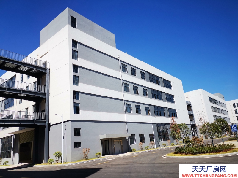 江西赣州厂房招商科技型企业免费入驻配套齐全政策力度大