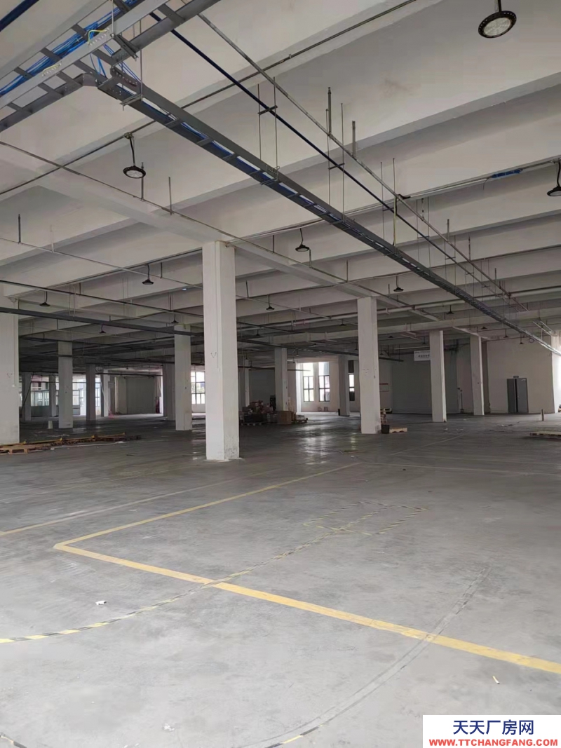 标准厂房I可分租I项目可免租