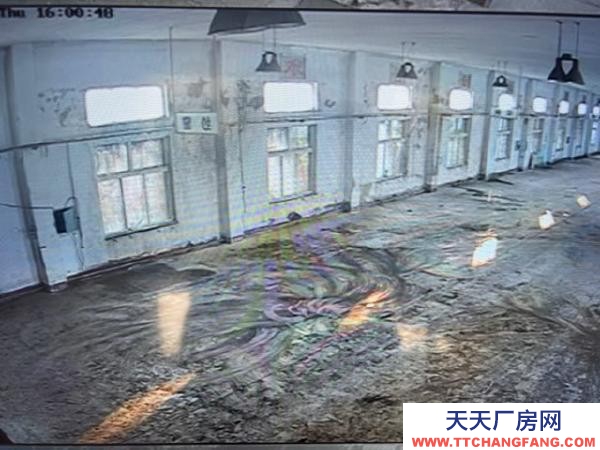 兴隆台厂房面积1200平方米