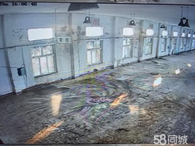 兴隆台厂房面积1200平方米图1
