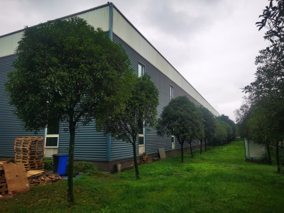 成都市新都区工业东区钢结构厂房招租图8