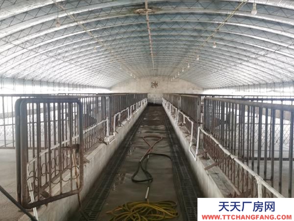 大洼自家库房，交通便利，停车方便。