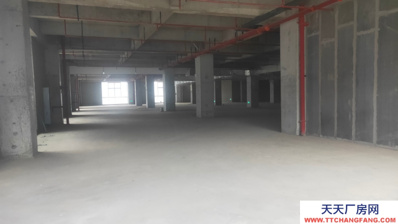 【园区直租】1000-5000m²厂房、生产办公、研发、新能源智能制造、检验检测、；国有资产平台，政策扶持，享免租优惠