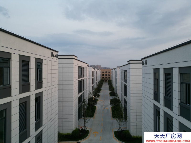 50年独立分割产权标准化厂房租售