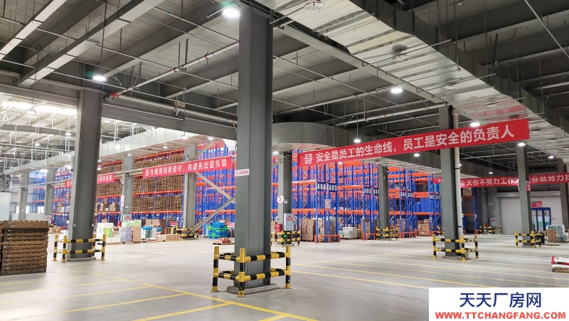 青白江食品产业园区现房出租
