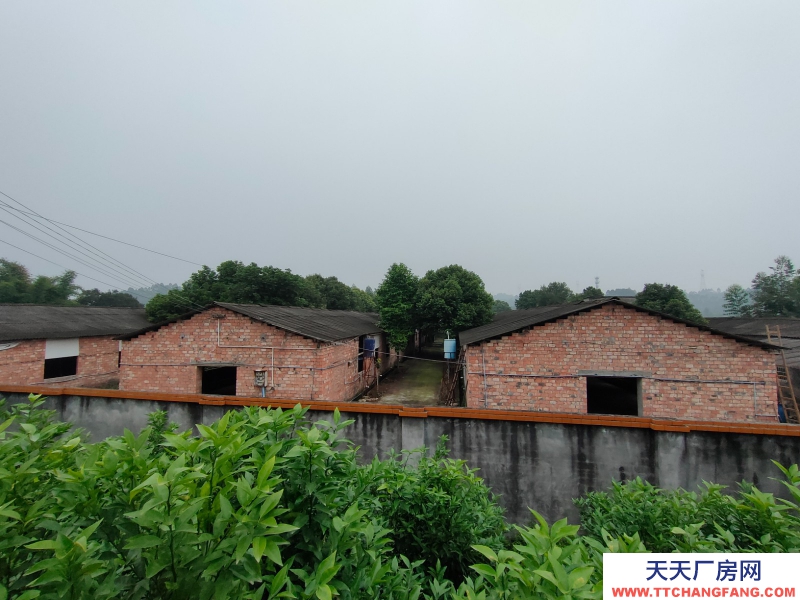 成都周边5000平米厂房出租