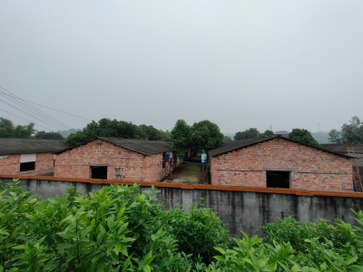 成都周边5000平米厂房出租图1