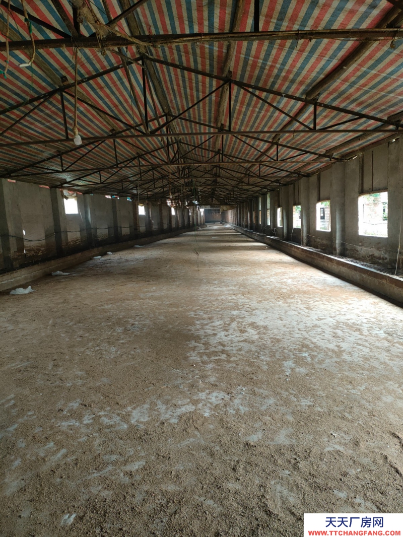 成都周边5000平米厂房出租