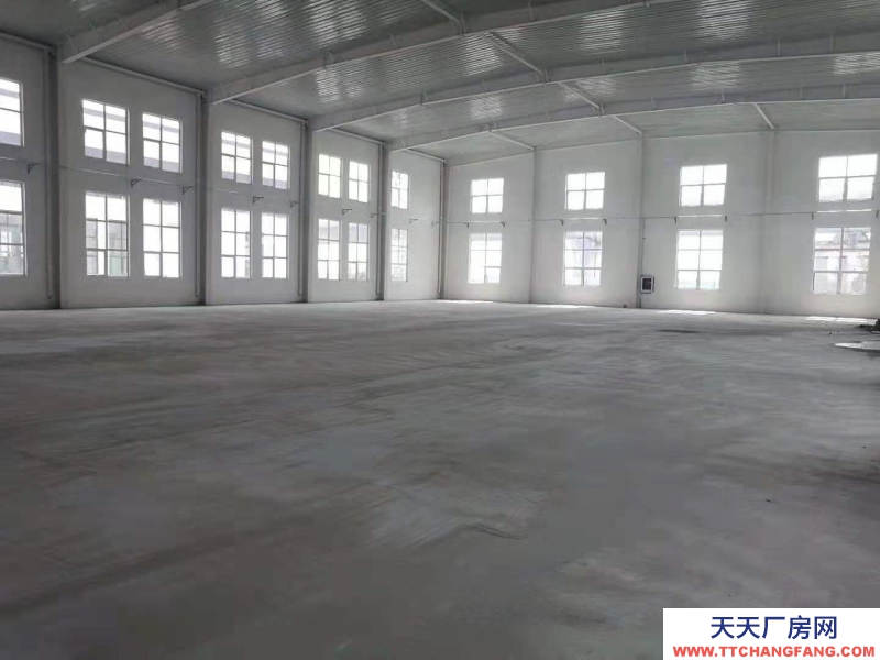 全新红本厂房 能喷漆 印刷等行业入驻带小院