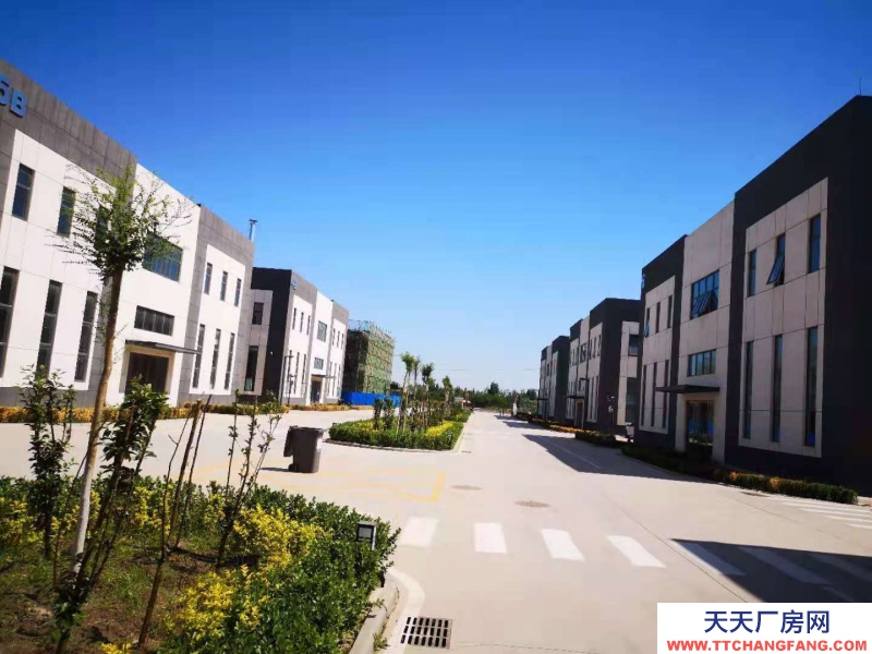 全新红本厂房 能喷漆 印刷等行业入驻带小院