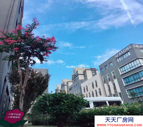 合肥富邦产业园-花园式独栋办公楼-核心位置-交通便利