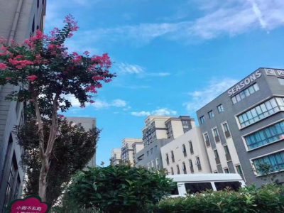 合肥富邦产业园-花园式独栋办公楼-核心位置-交通便利图2