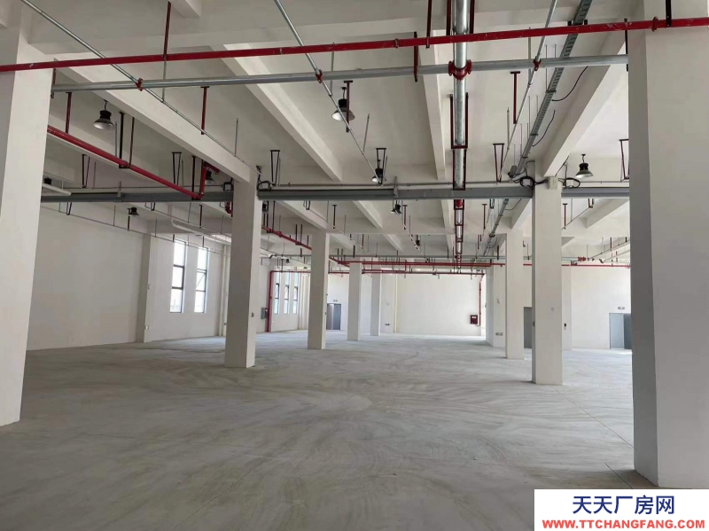 新都新材料智造产业园区标准厂房出租