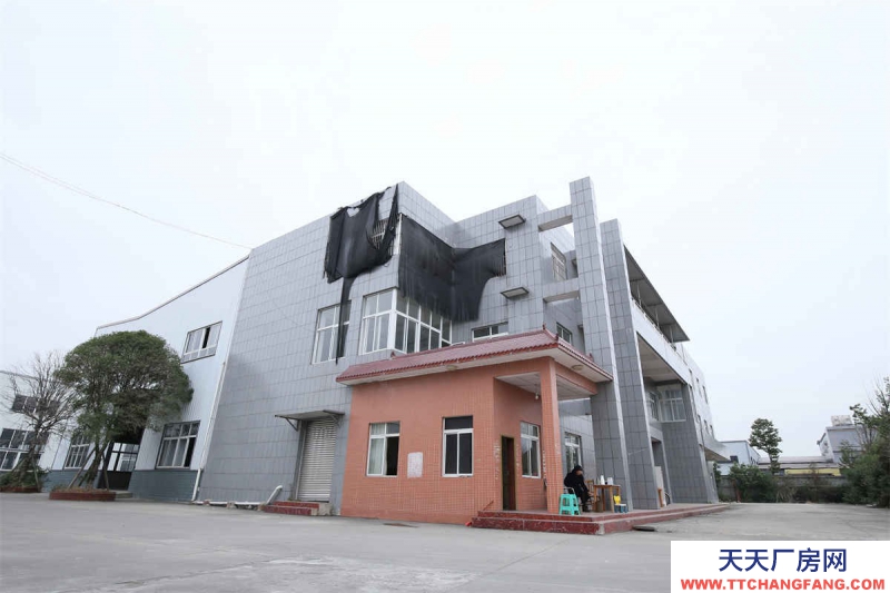 成都工业园区钢结构标准厂房出租包装厂房机械加工厂房设备制造厂房出租