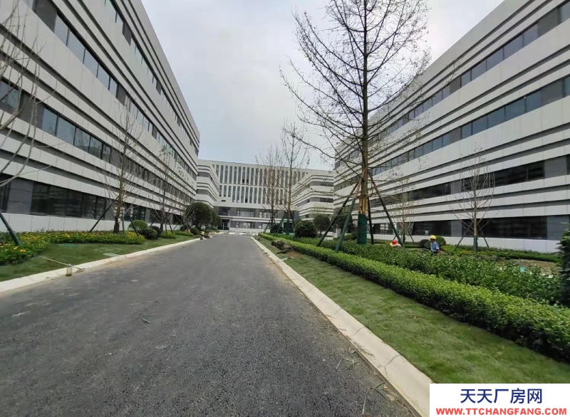 高新西区华为、京东方之间的 电子产业园区582—24000㎡品质园区出租
