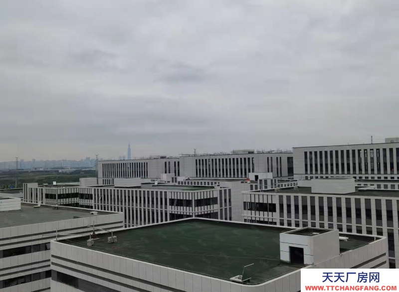 高新西区华为、京东方之间的 电子产业园区582—24000㎡品质园区出租