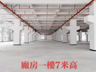 东莞市塘厦镇１万平方原业主全新独栋厂房出租图5