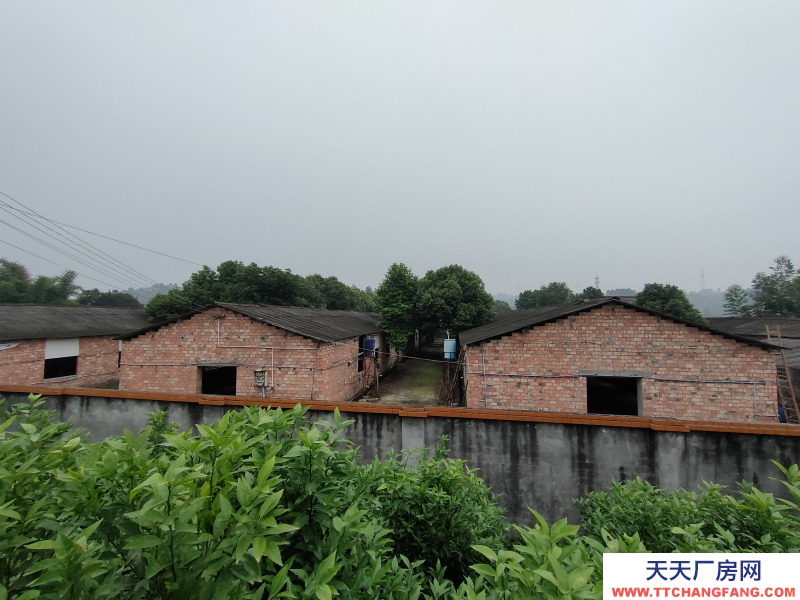 成都周边5000平米厂房出租