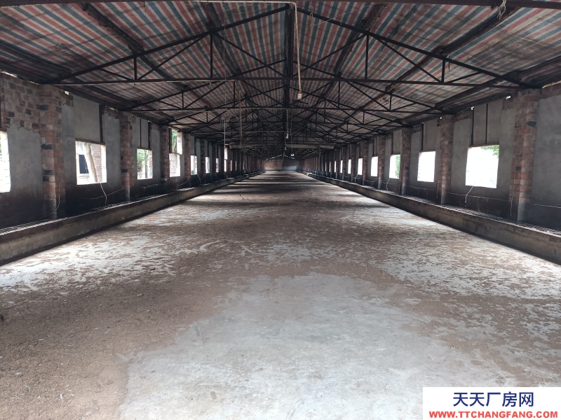 成都周边5000平米厂房出租