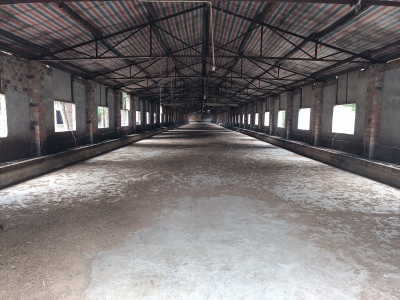 成都周边5000平米厂房出租图3