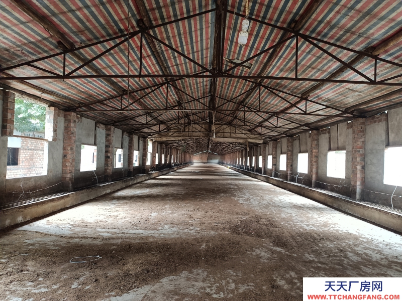 成都周边5000平米厂房出租