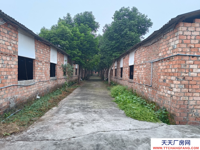 成都周边5000平米厂房出租