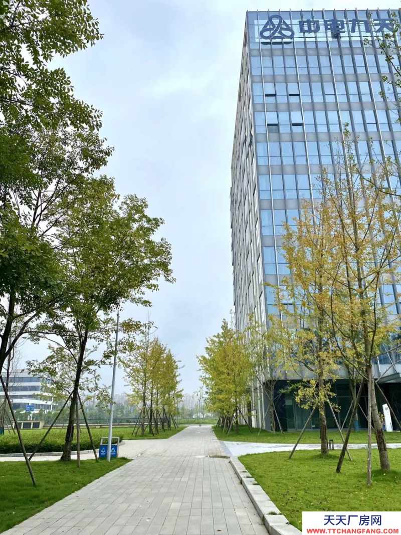 租售双流新城科技产业园，独栋平层，电子信息医疗入