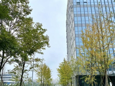 租售双流新城科技产业园，独栋平层，电子信息医疗入图5