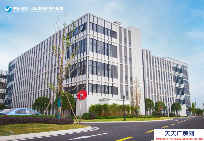 天府新区视高S5号线旁 50年产权厂房招商 1100平起独栋 赠送面积大 得房率最高120%