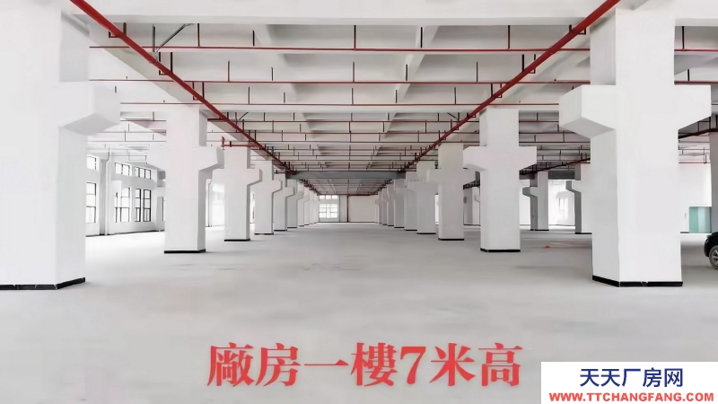 惠州博罗县龙溪镇１０００平方工厂办公和厂房出售