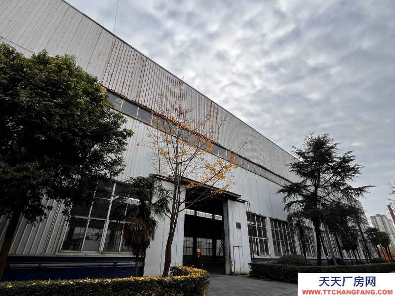 出租金牛沙河源 厂房 仓库 场地 川建园区内