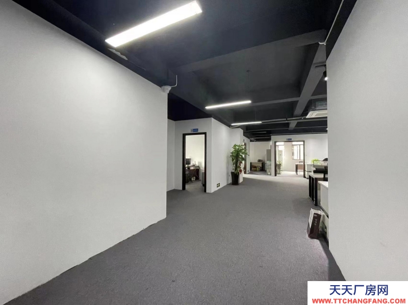 新年特惠特价！无中介费开发商直租，精装修办公，6隔间+30工位，可办公实验